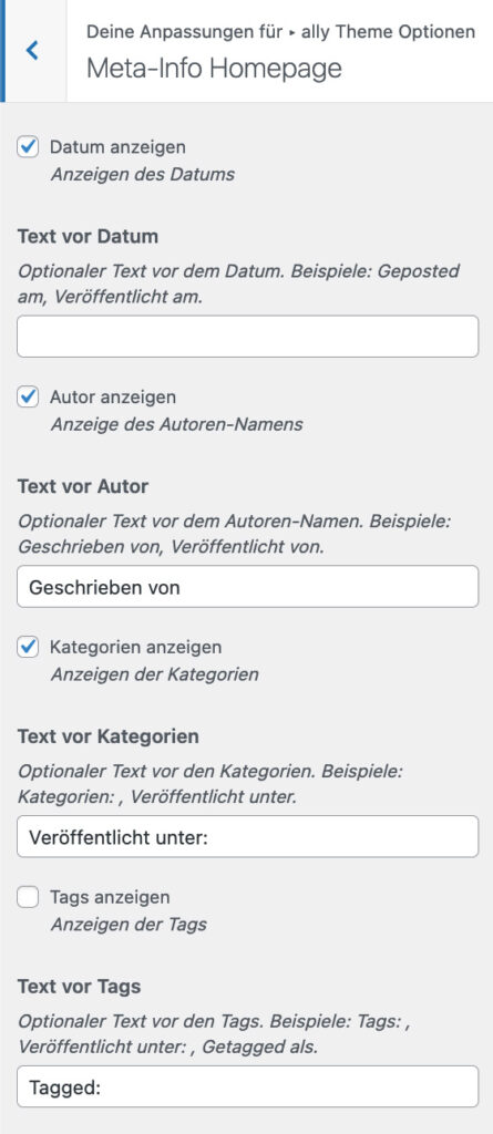 Screenshot Meta-Info Homepage aus dem Backend